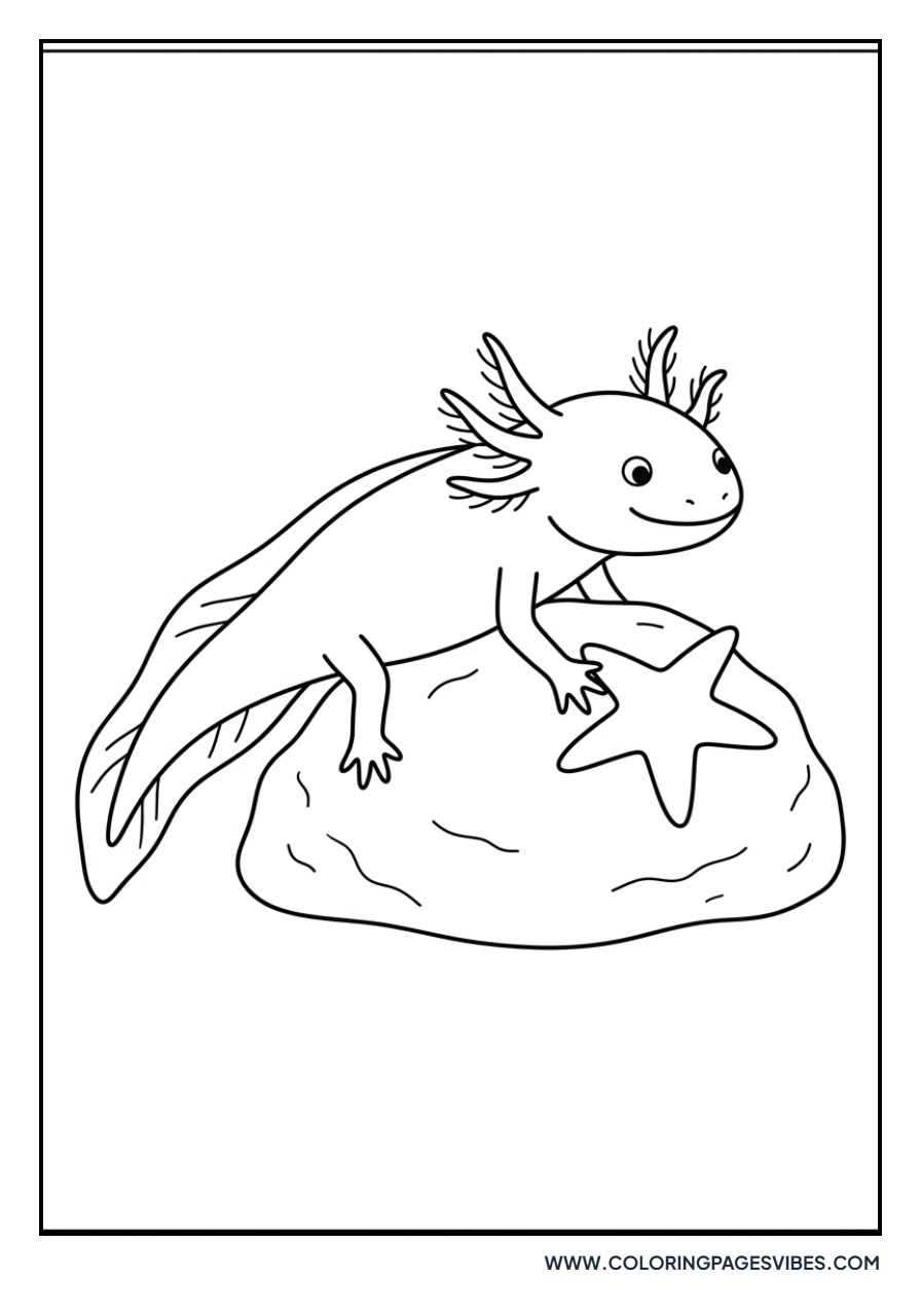 Axolotl and a Starfish