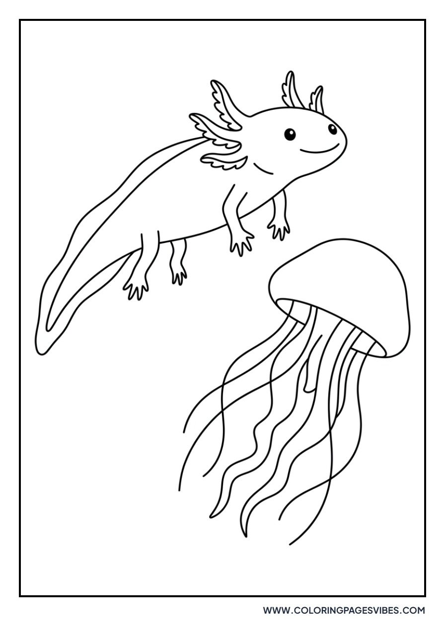 Axolotl and Jellyfish