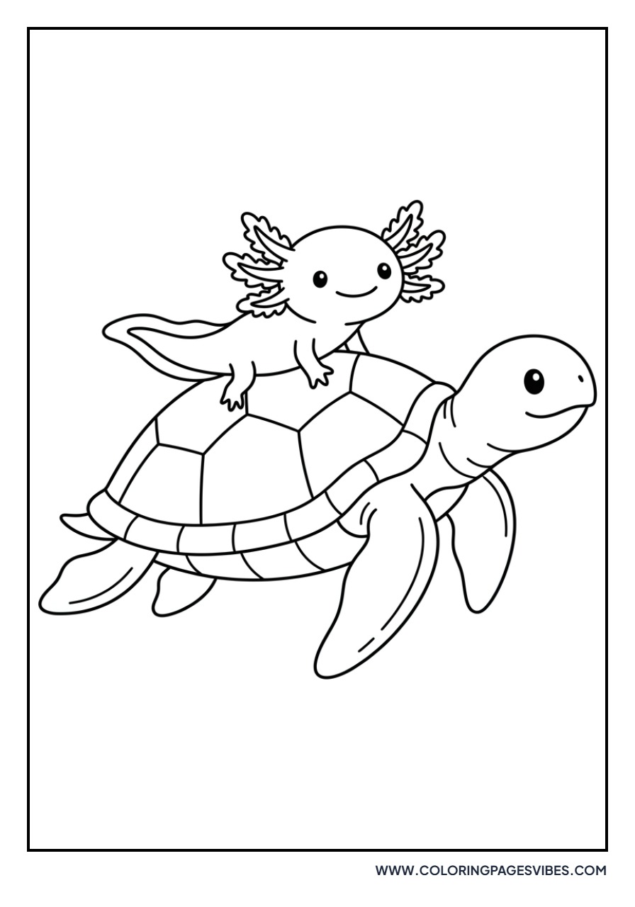 Axolotl and Sea Turtle