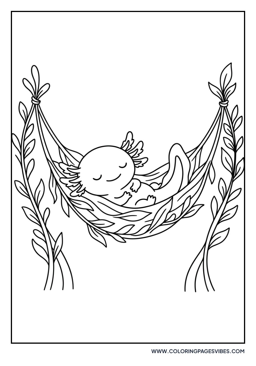 Axolotl in a Hammock