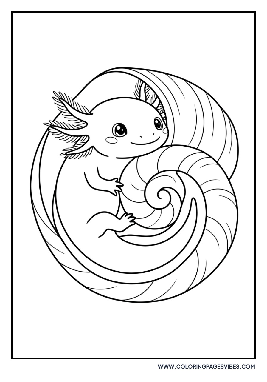 Axolotl in a Shell