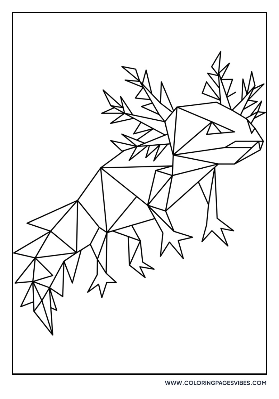 Geometric Axolotl