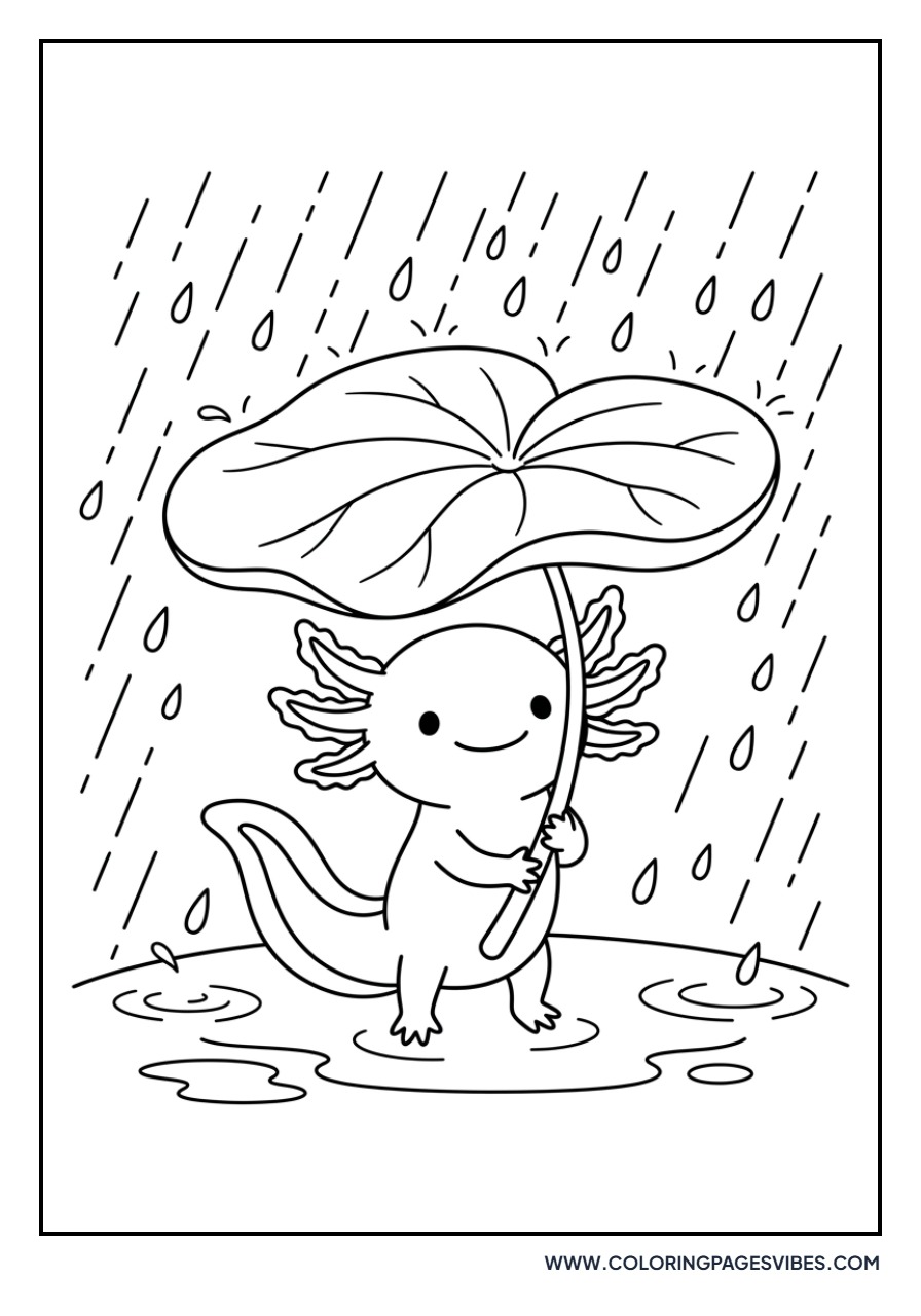 Rainy Day Axolotl