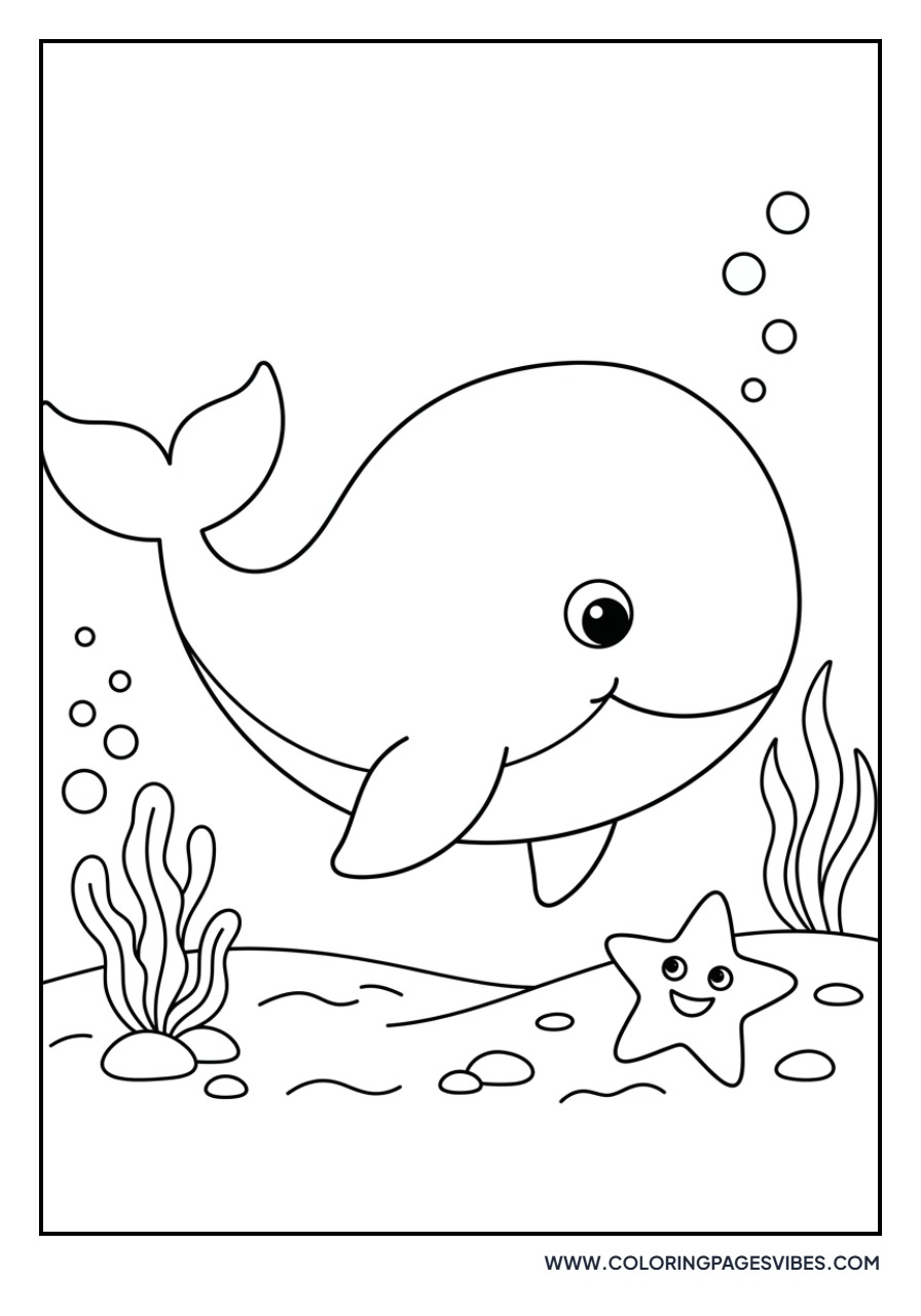 Blue Whale and Little Starfish