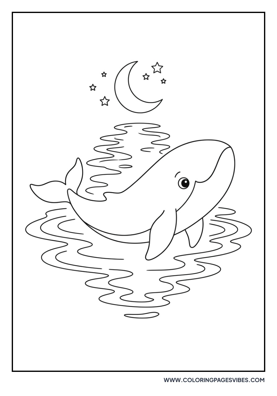 Whale and Moon Reflection