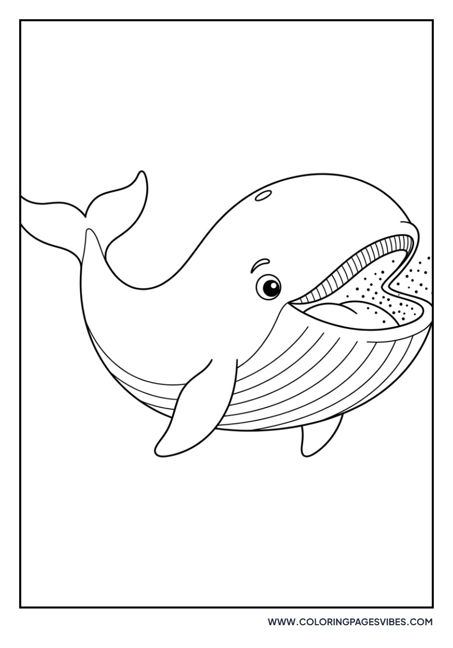 Whale Eating Plankton