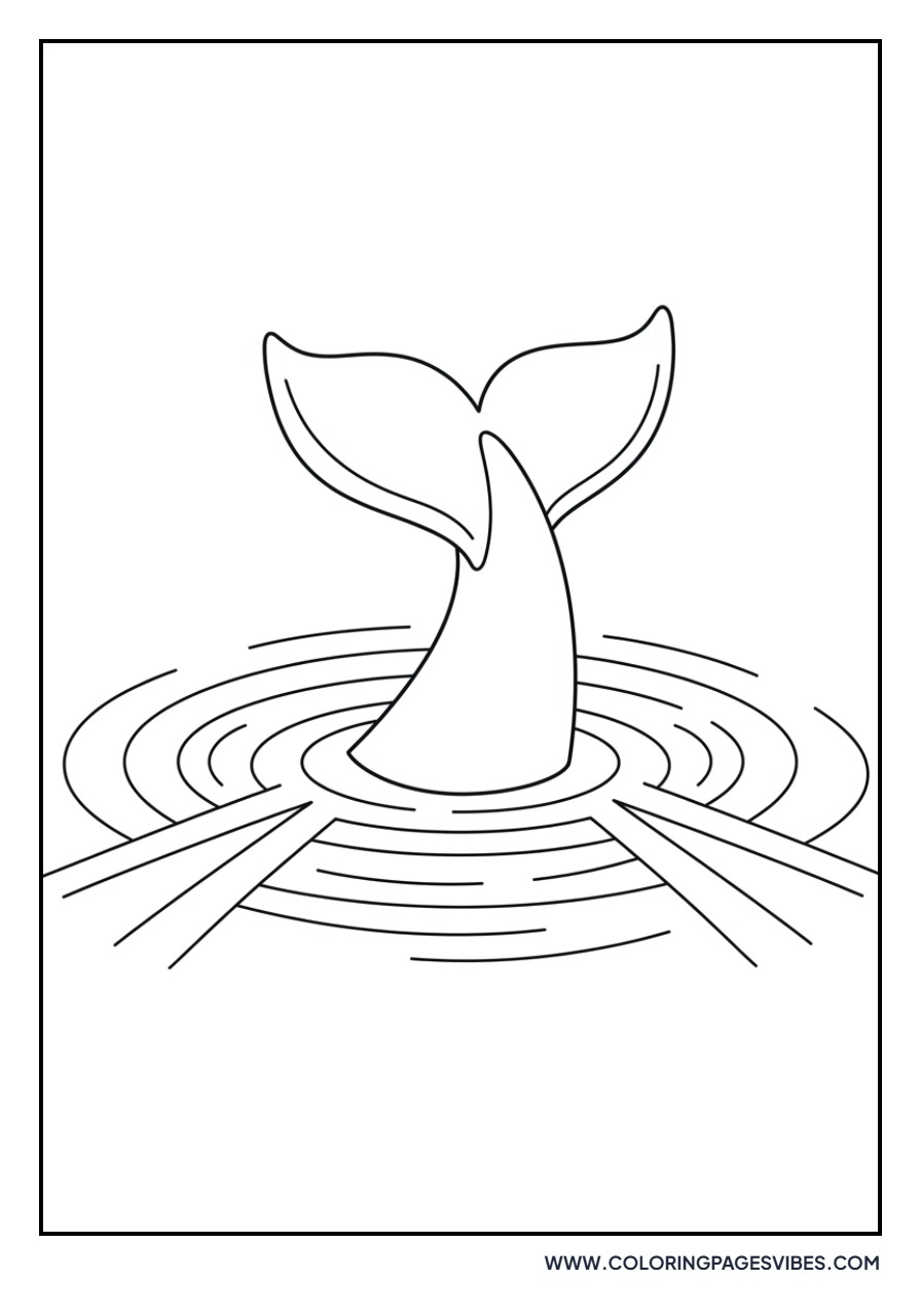 Whale Tail Splash