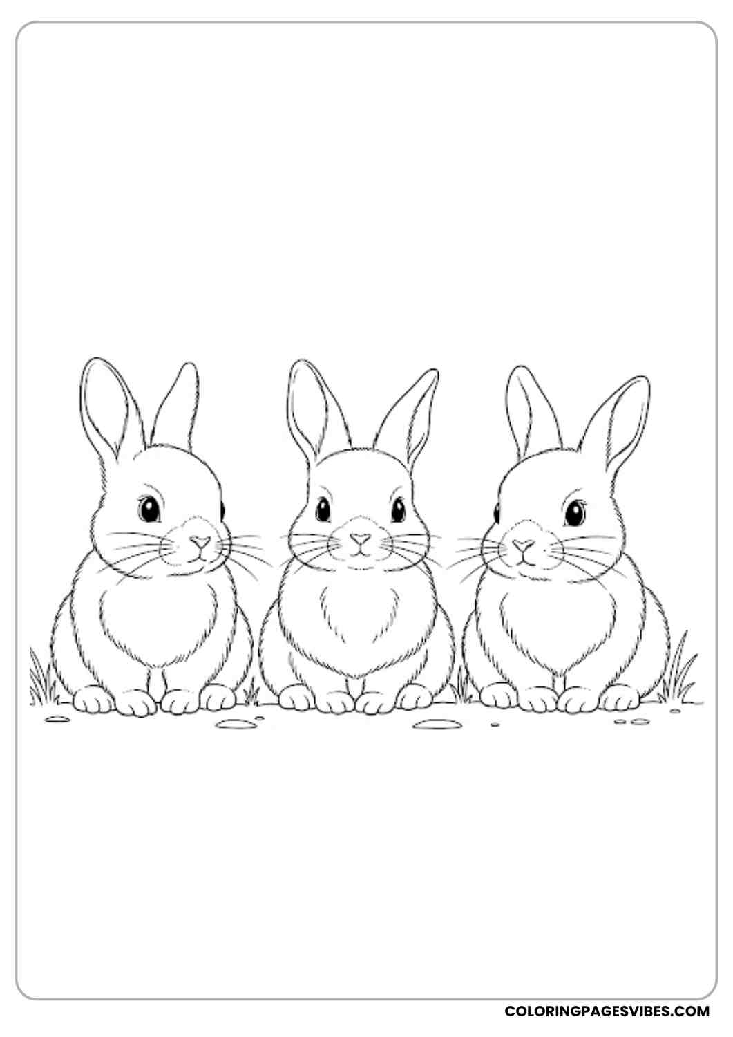 three baby bunnies sitting together coloring page