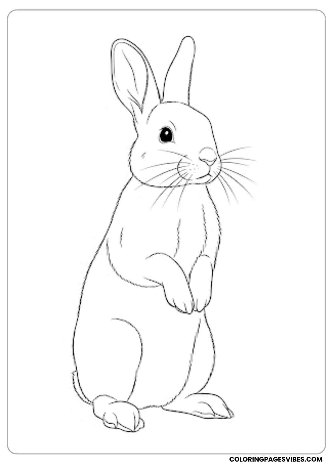 realistic bunny standing upright coloring page