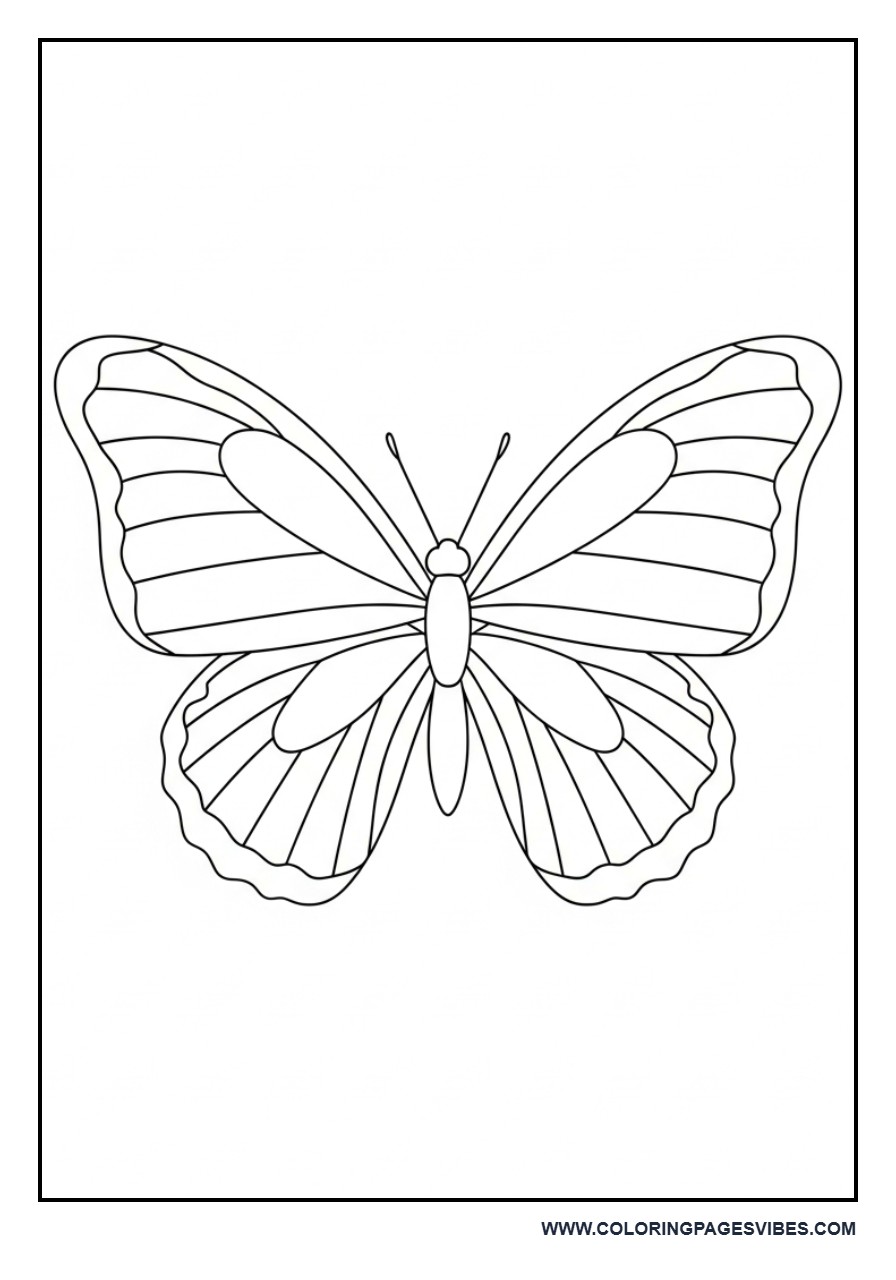 Basic Nature Butterfly Outline