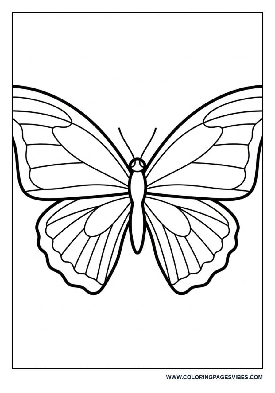 Easy Butterfly with Big Wings