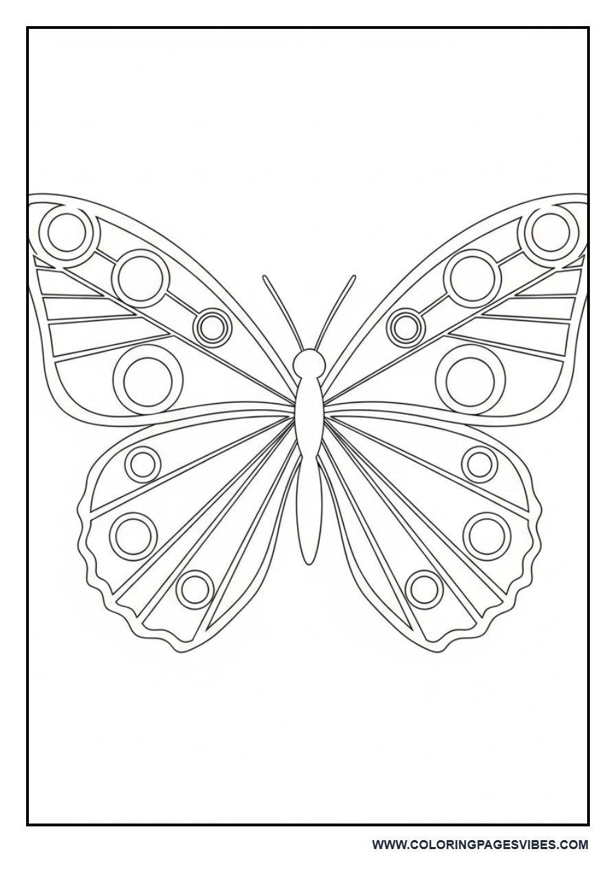 Minimal Pattern Butterfly