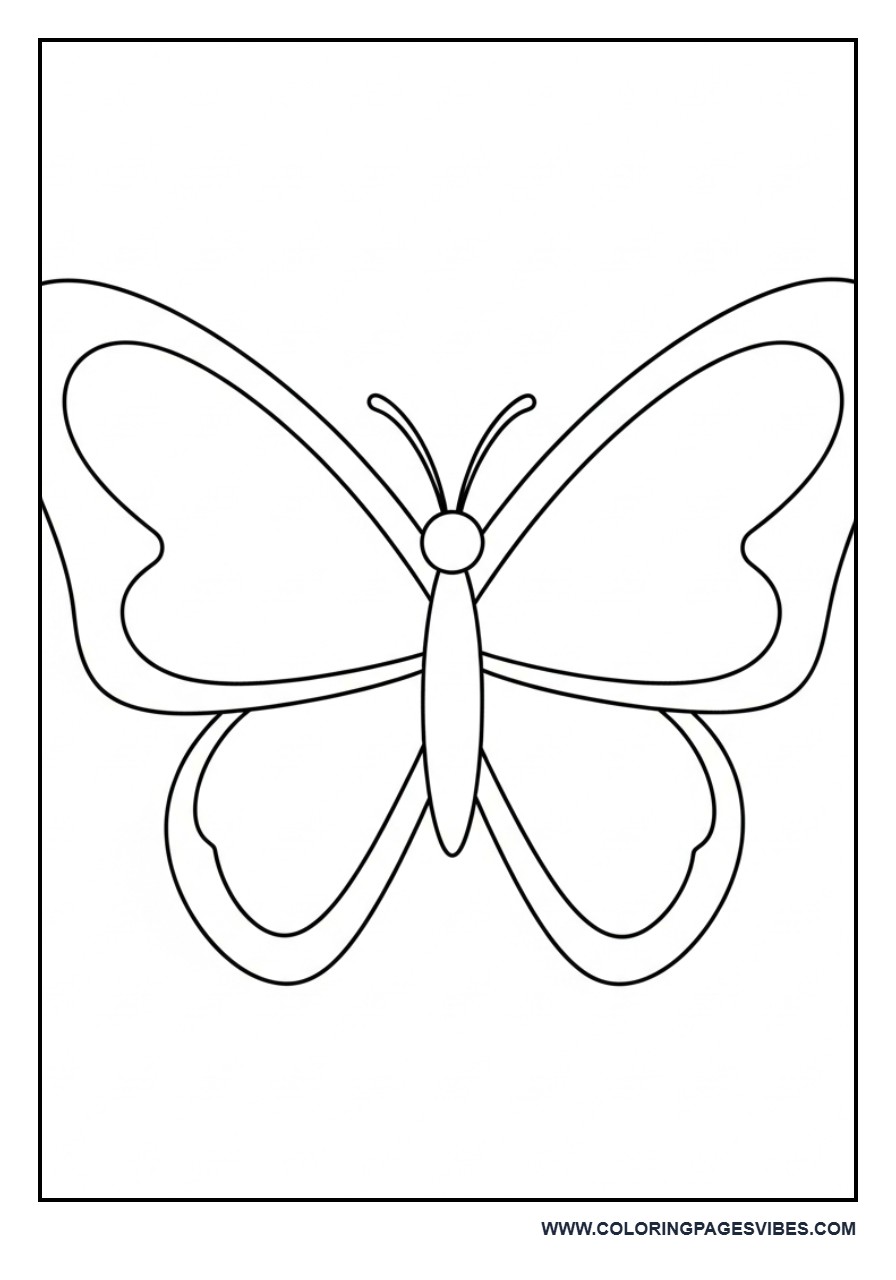 Rounded Wing Butterfly