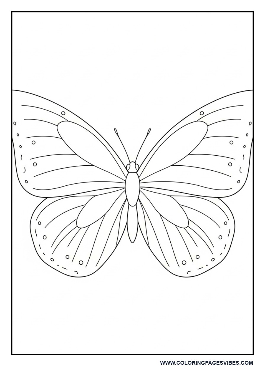Tiny Detail Beginner Butterfly