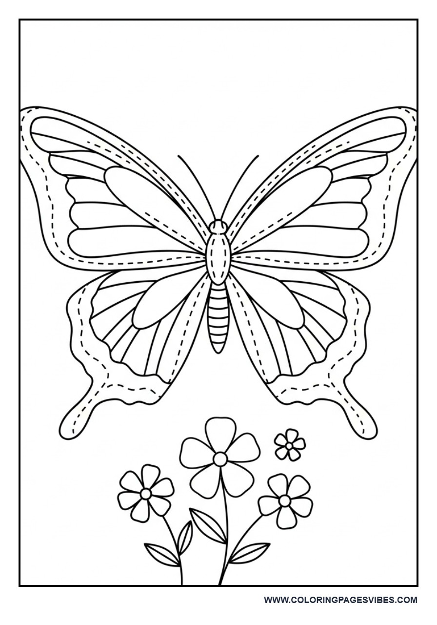 Trace and Color Butterfly