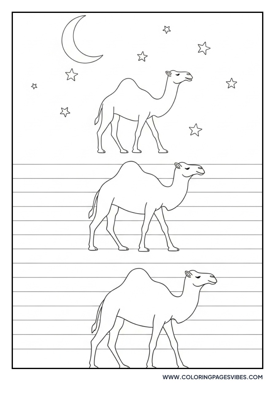 Camel Caravan at Night