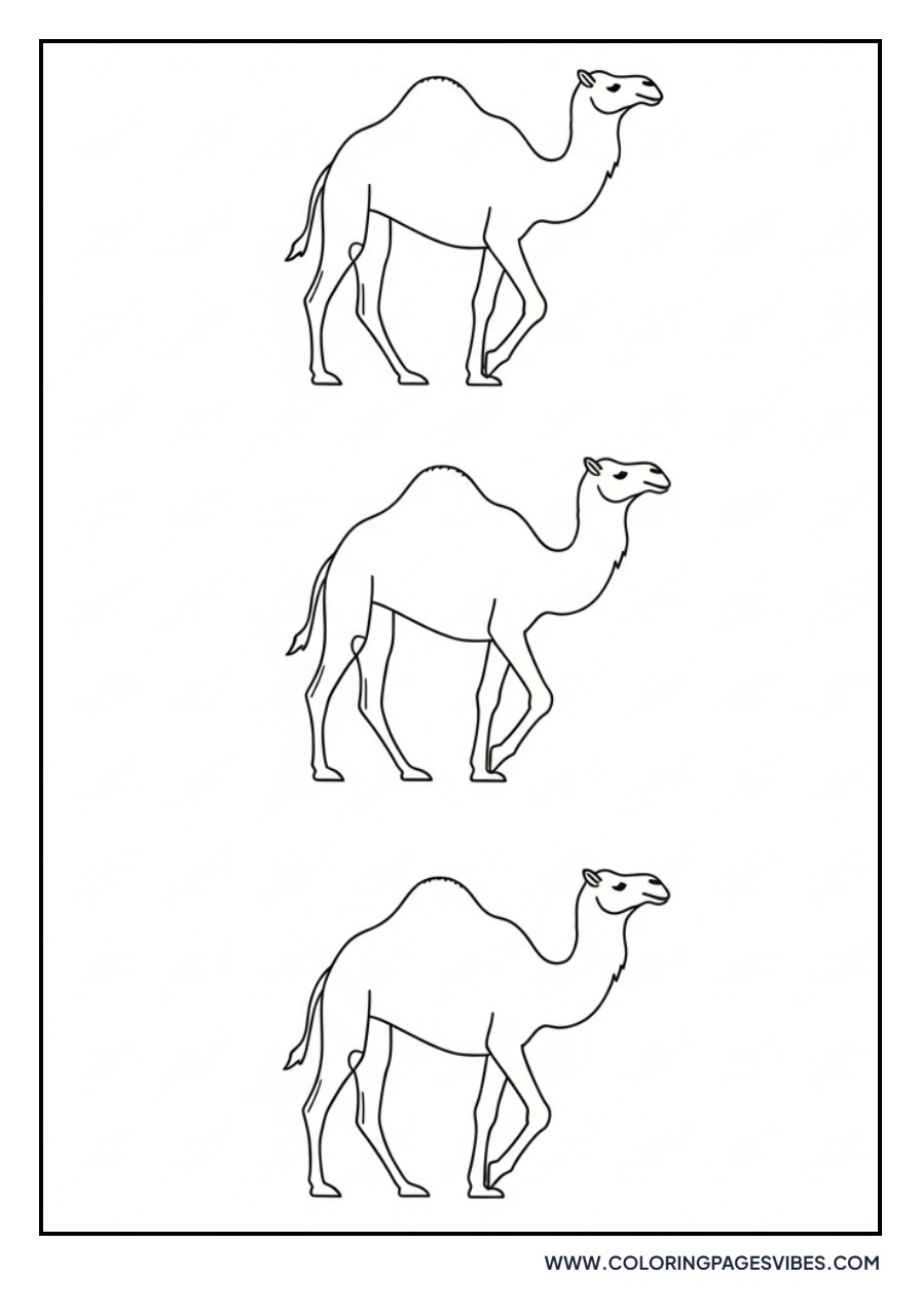 Camel Caravan Silhouette
