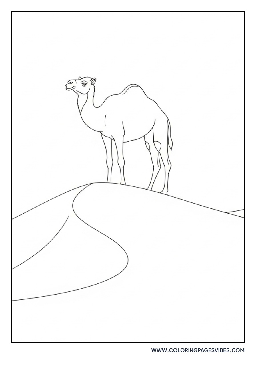 Camel Near Sand Dunes