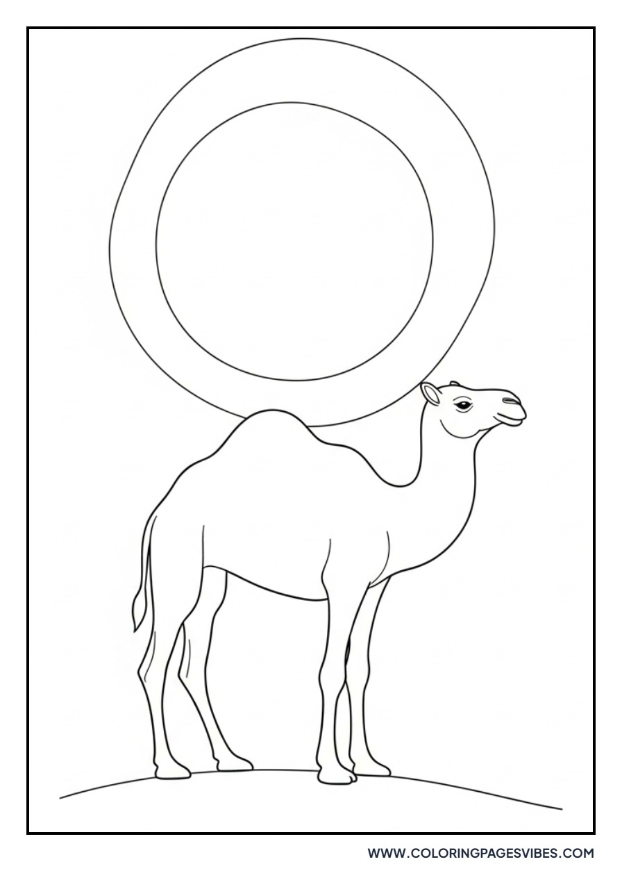 Camel with Desert Sun