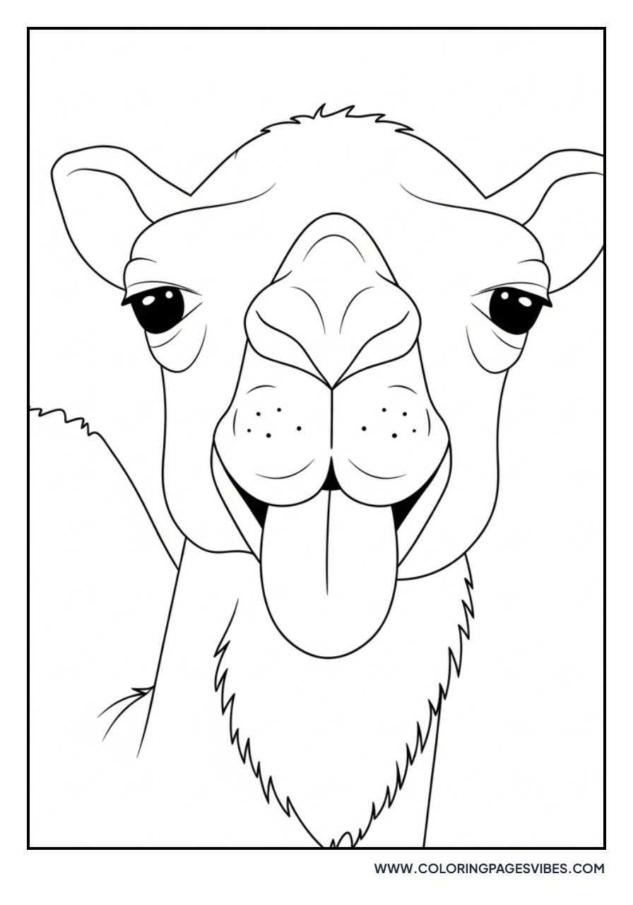 Silly Camel Face