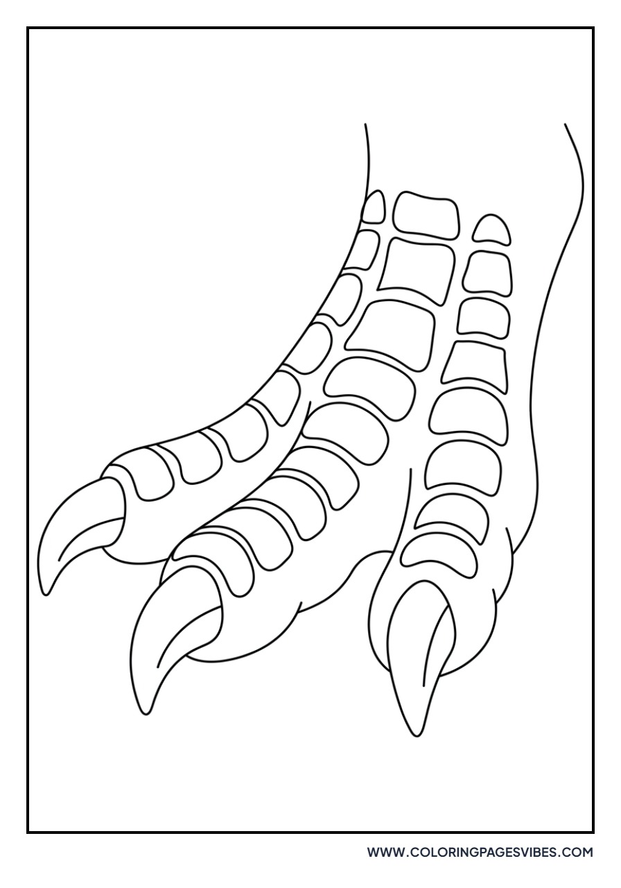Carnotaurus Foot Detail