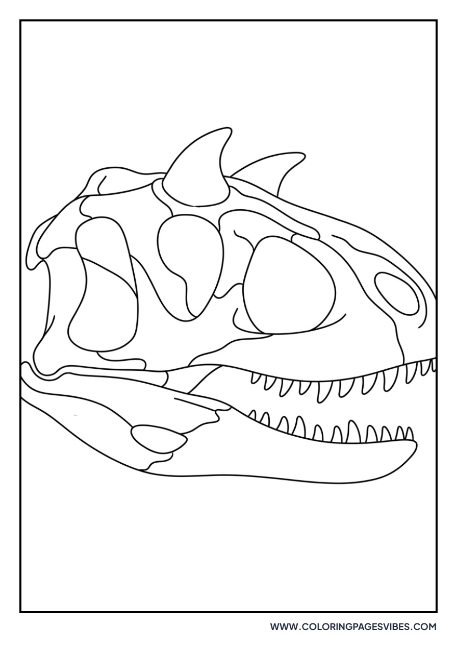 Carnotaurus Skeleton Skull