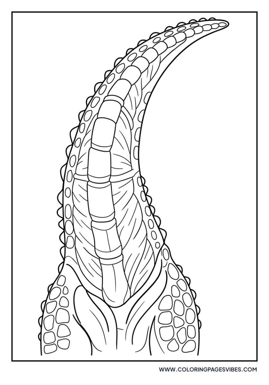 Carnotaurus Tail Study