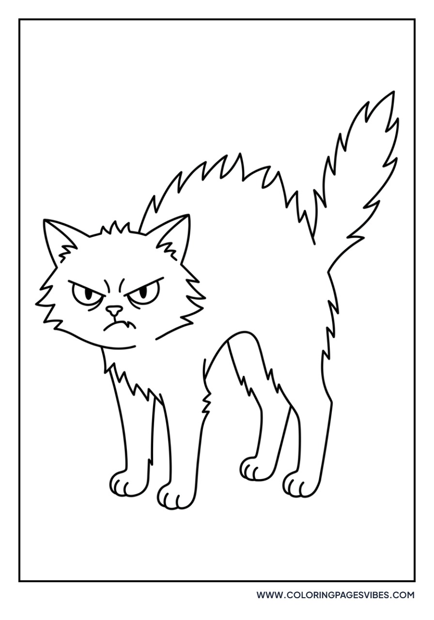 Angry Cat with Fluffed Fur