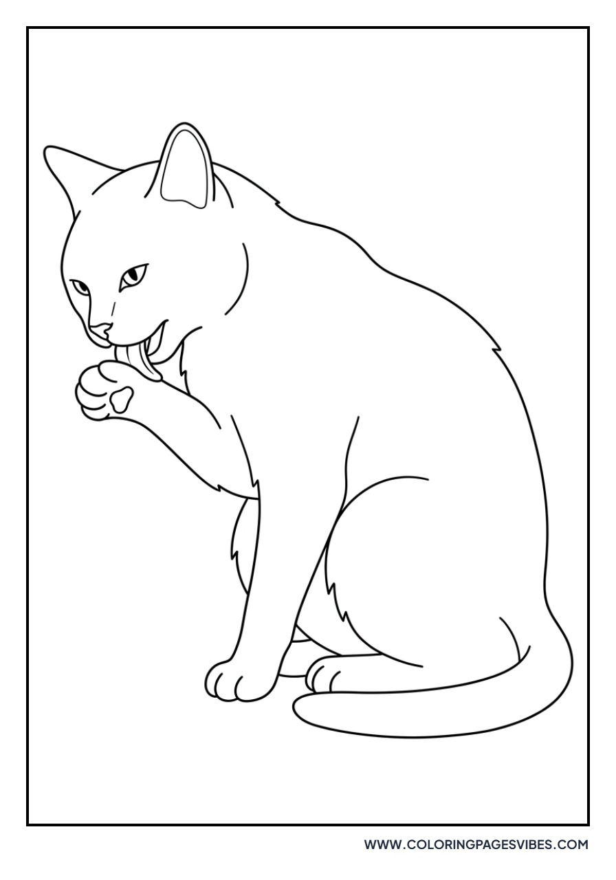 Cat Grooming Its Paw