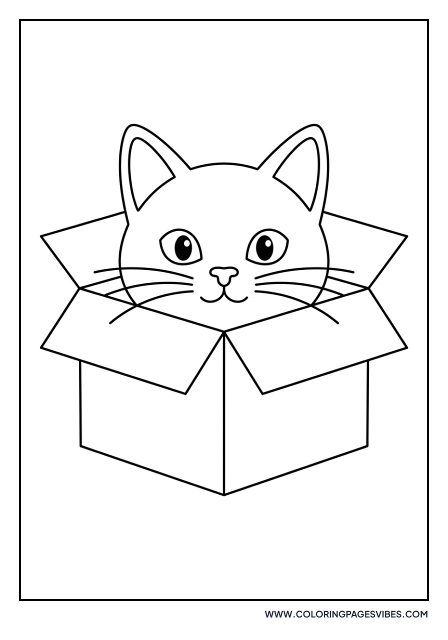 Cat in a Cardboard Box
