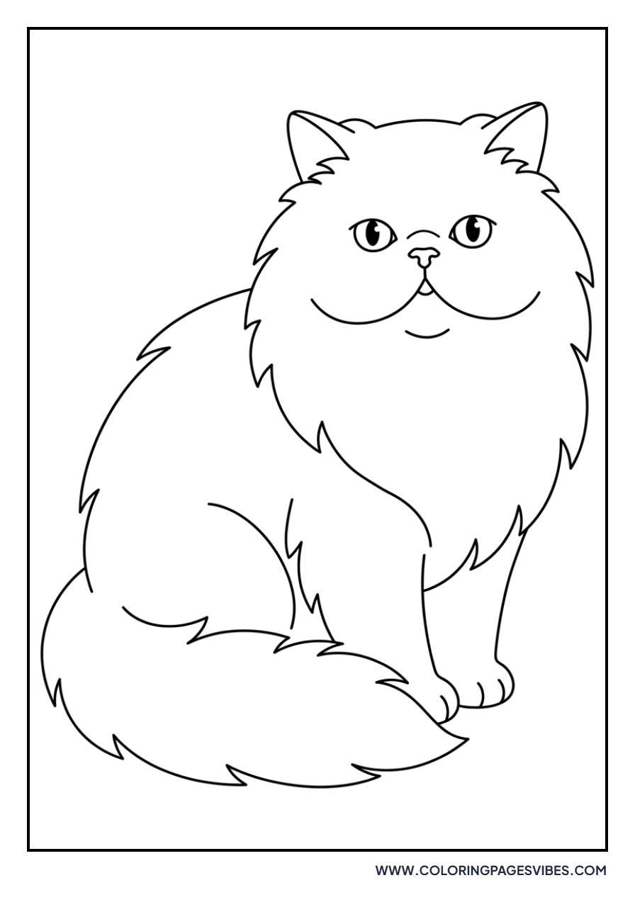 Persian Cat with Fluffy Fur