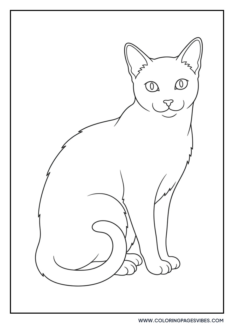 Russian Blue Cat