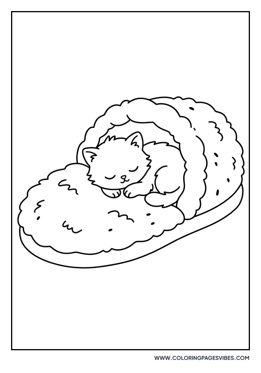 Sleepy Kitten in a Slipper