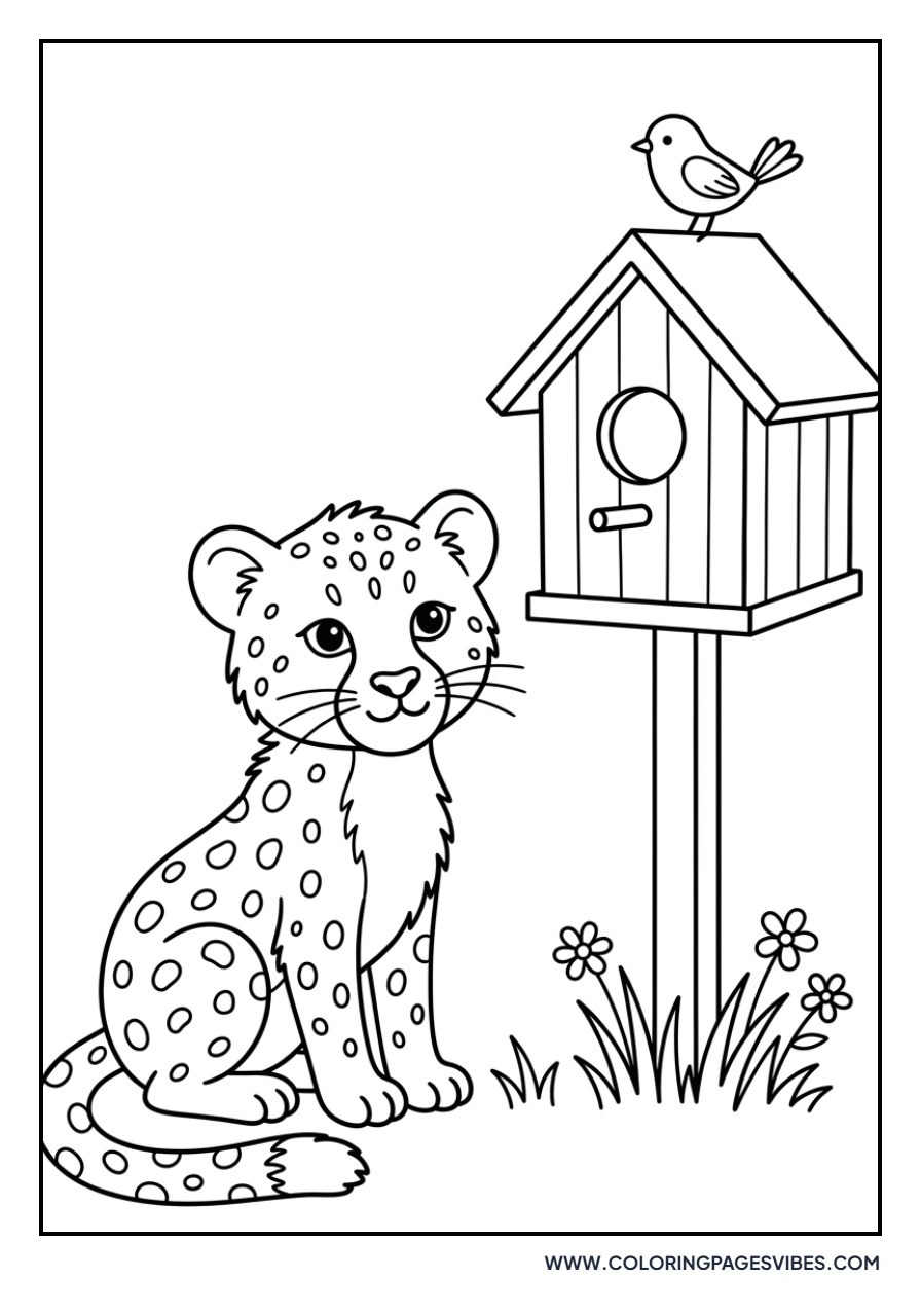 Cheetah Cub and Birdhouse