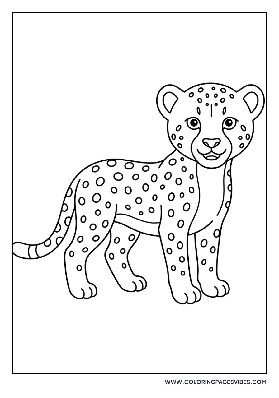 Cheetah Cub and Rainbow