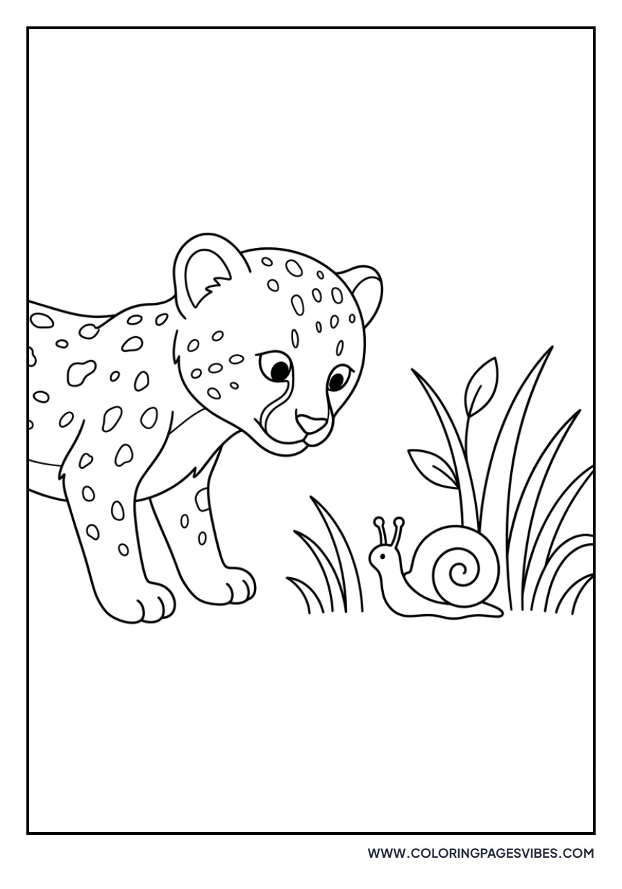Cheetah Cub and Snail