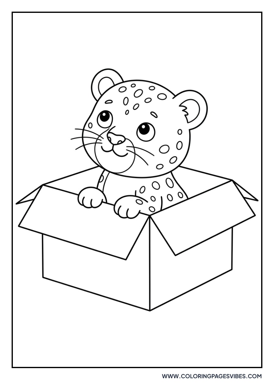 Cheetah Cub in a Box