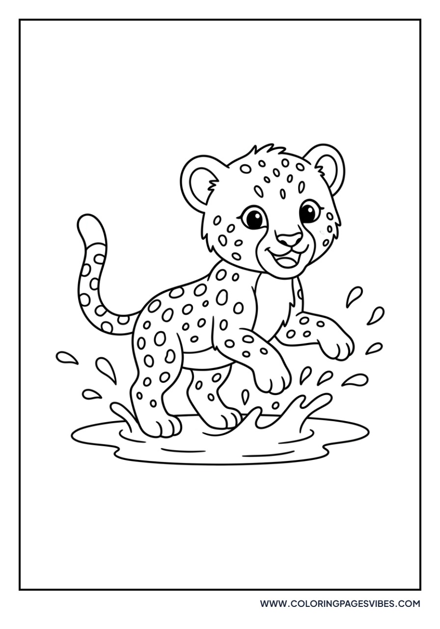 Cheetah Cub in a Puddle
