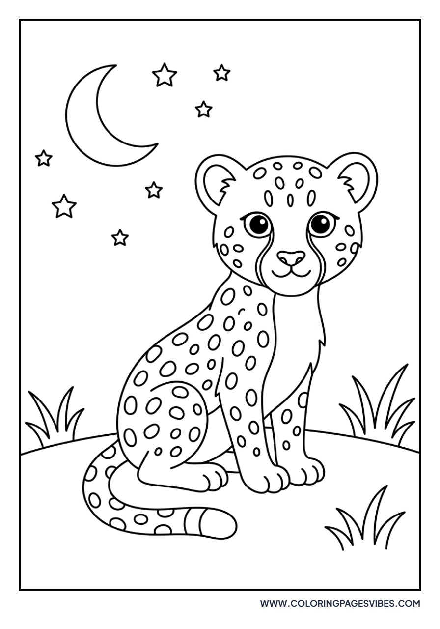 Cheetah Cub in the Moonlight