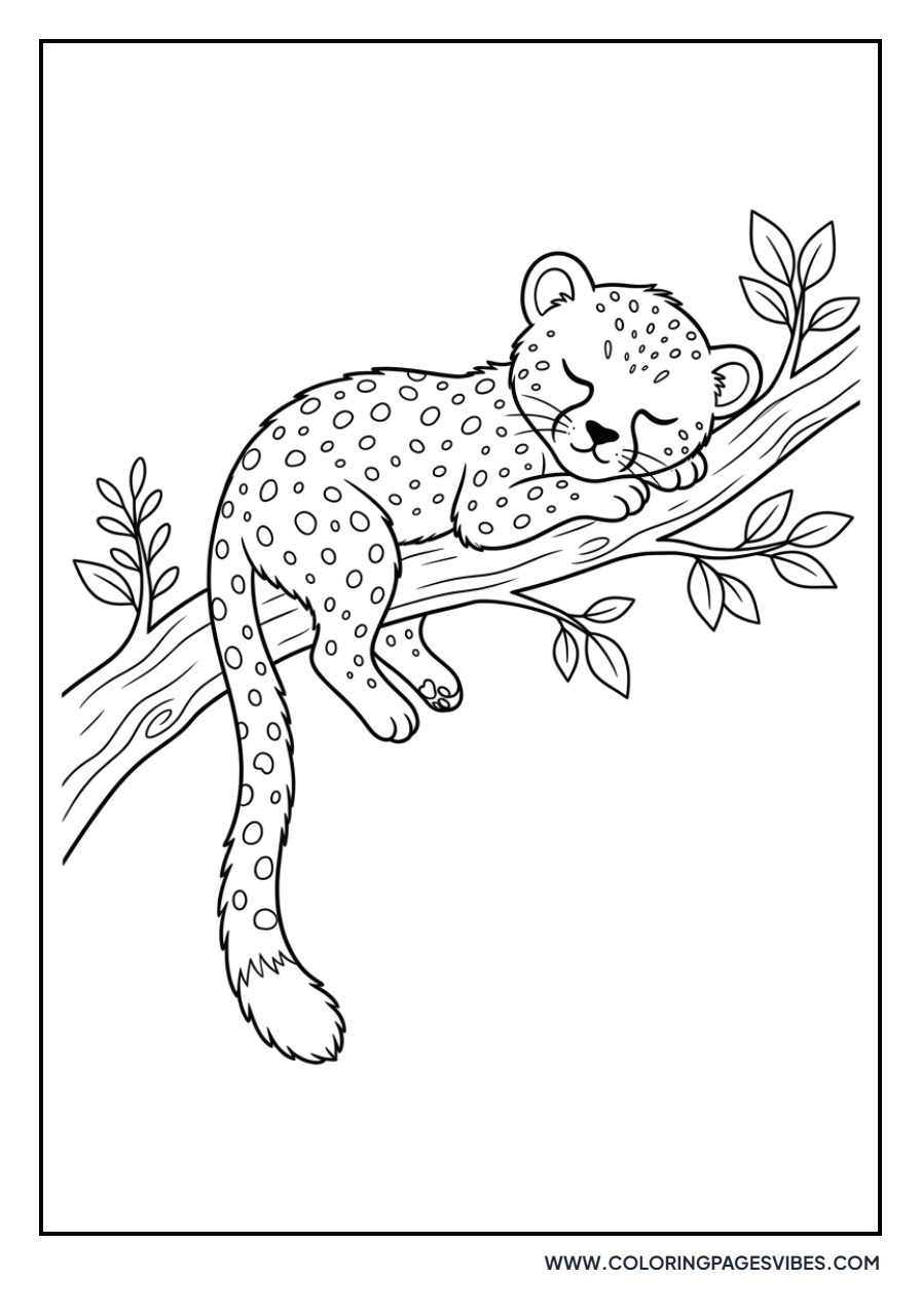 Cheetah Cub Napping