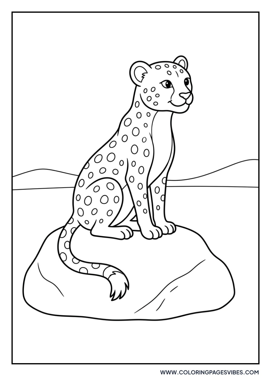 Cheetah Sitting on a Rock