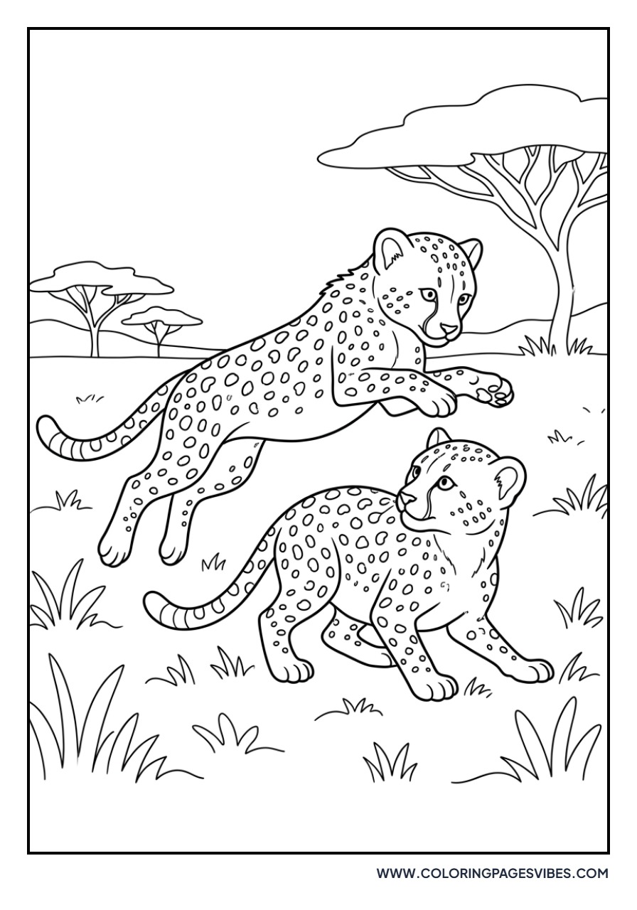 Two Cheetah Best Friends