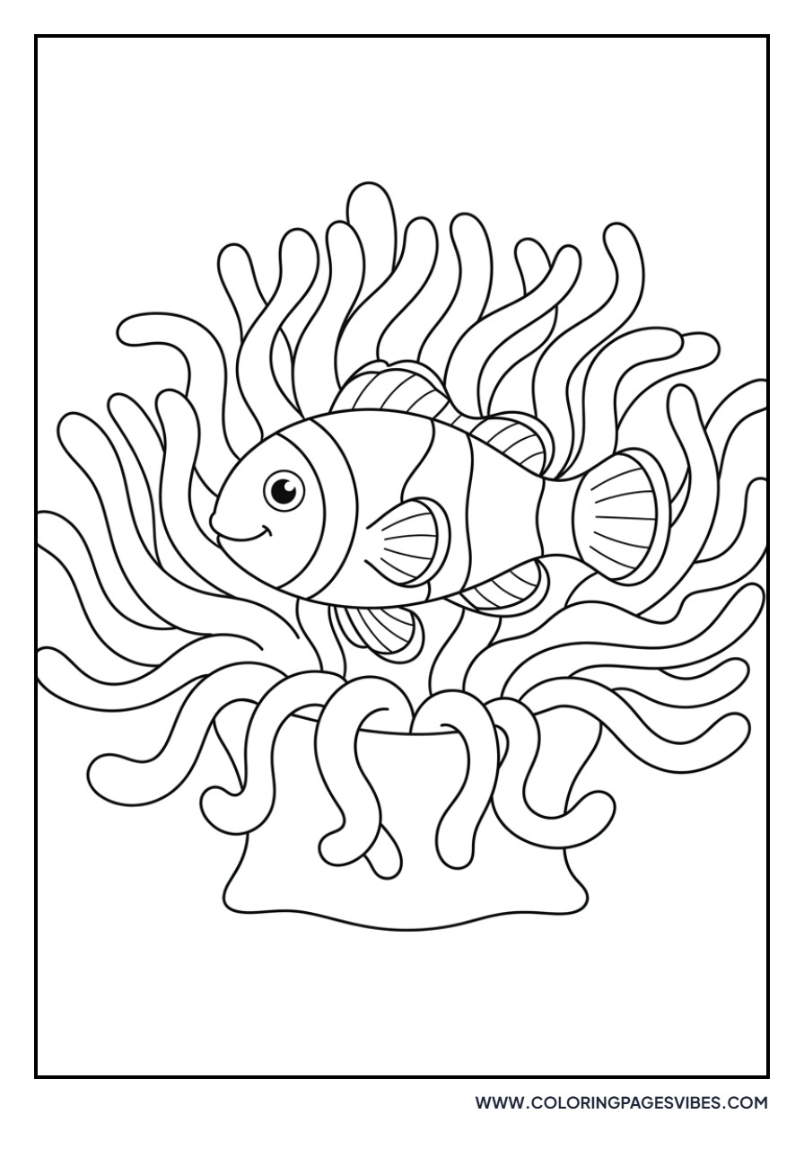 Clownfish and Anemone Home