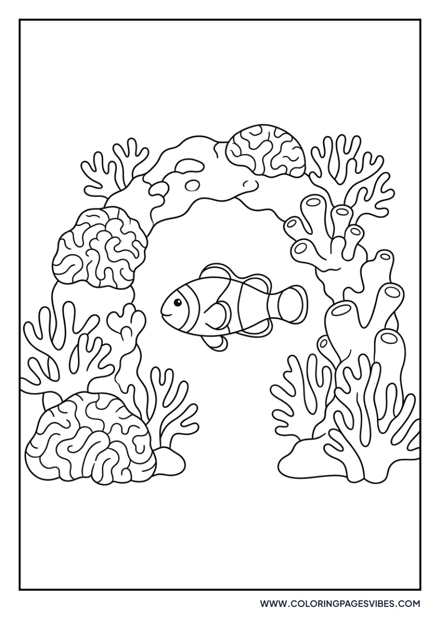 Clownfish and Coral Arch