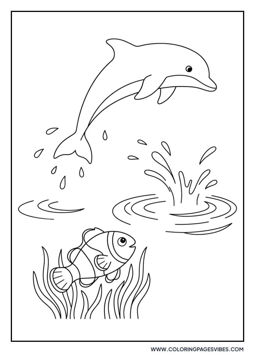 Clownfish and Dolphin Leap
