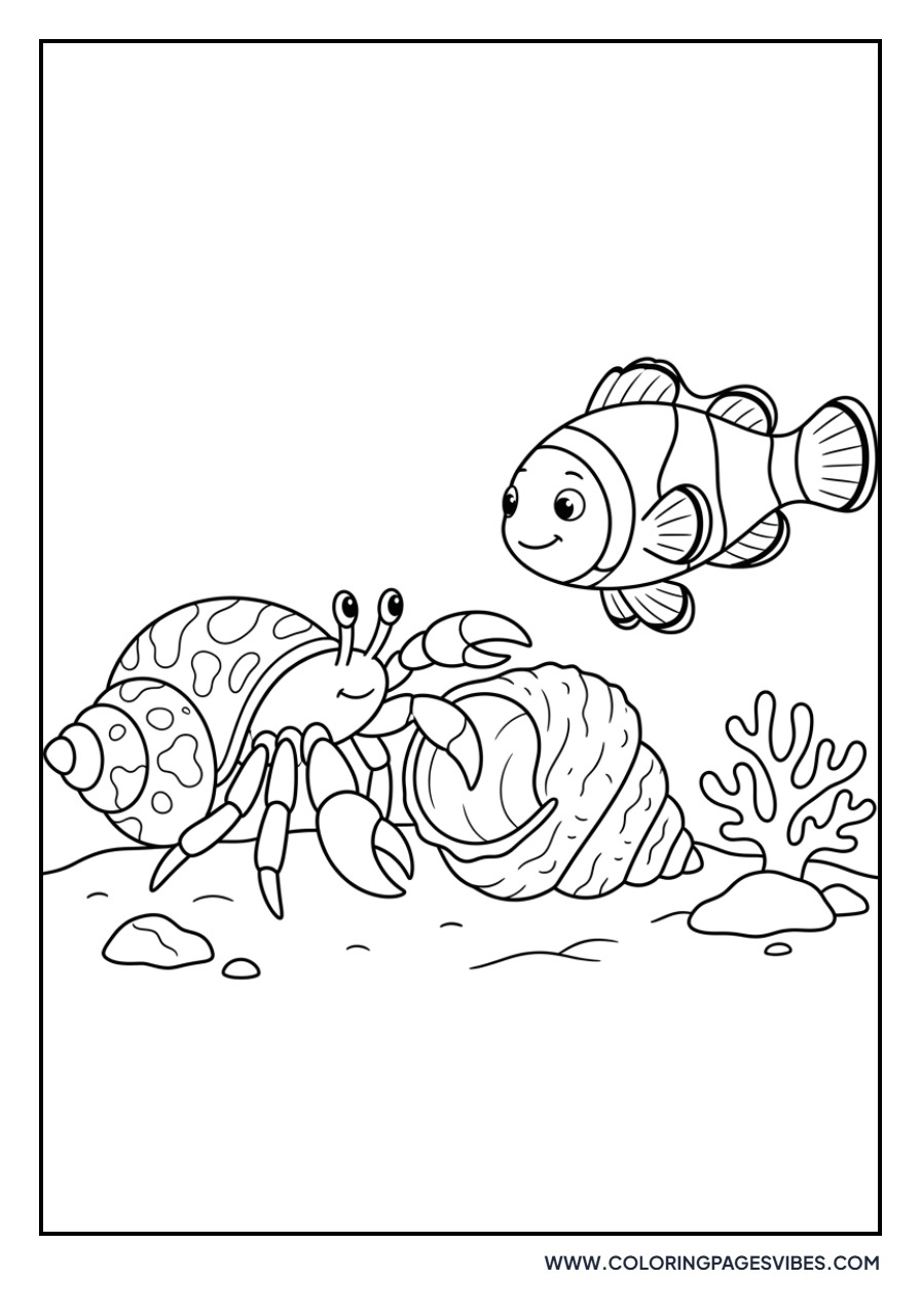 Clownfish and Hermit Crab