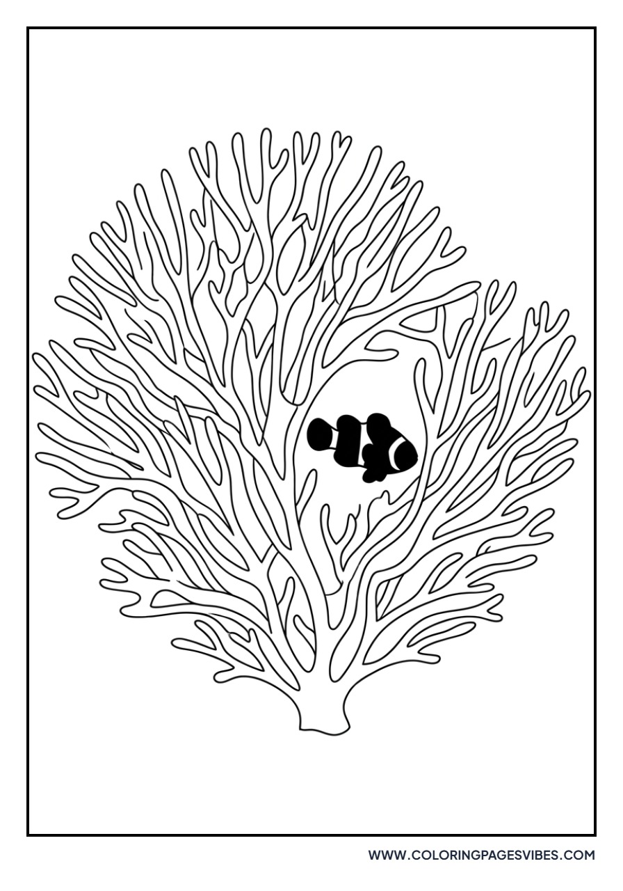 Clownfish and Sea Fan