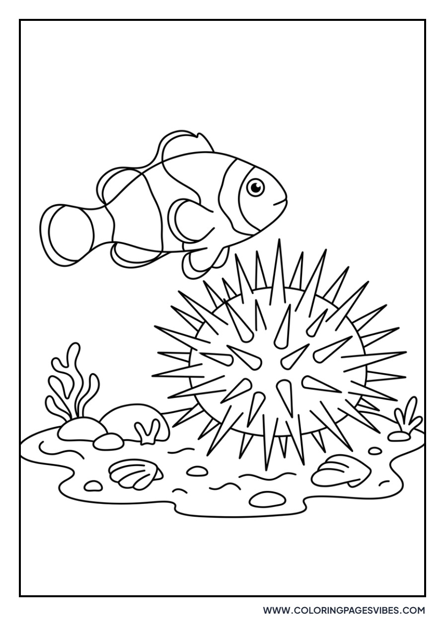 Clownfish and Sea Urchin