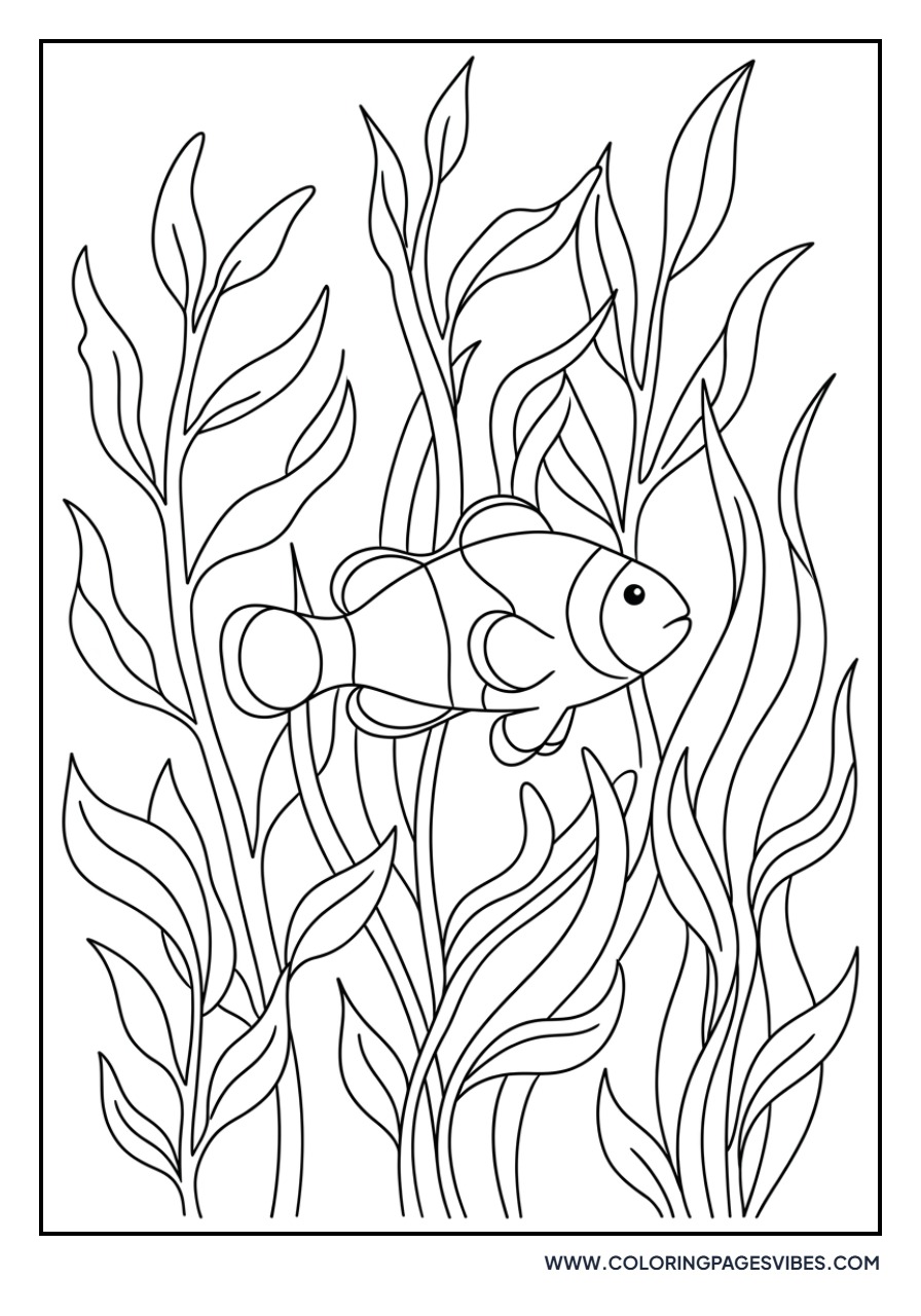 Clownfish in Seaweed Forest