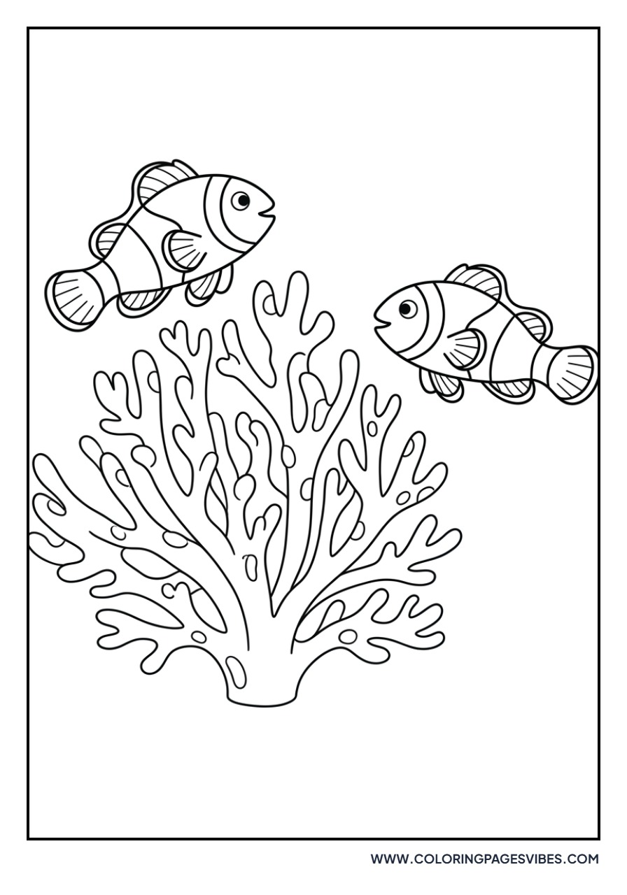 Clownfish Playing Tag